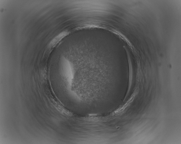 X0000074040785200608281443