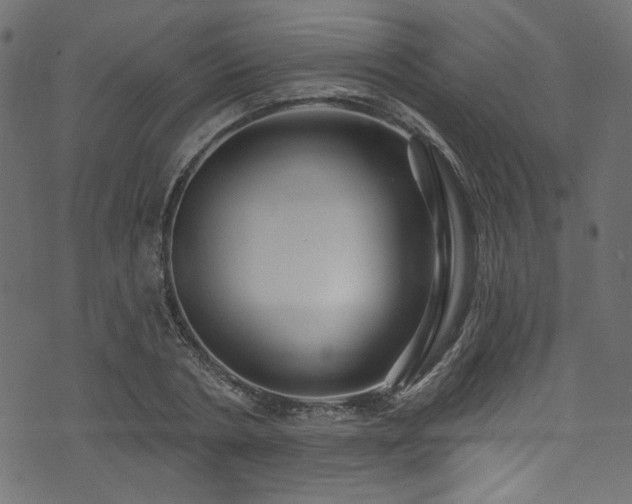 X0000074040786200608281443