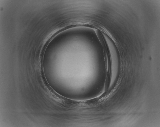 X0000074040787200608281443