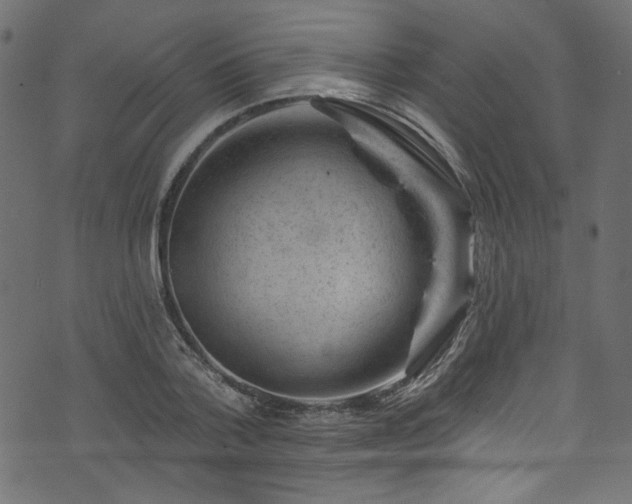 X0000074040788200608281443