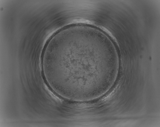 X0000074040791200608281443