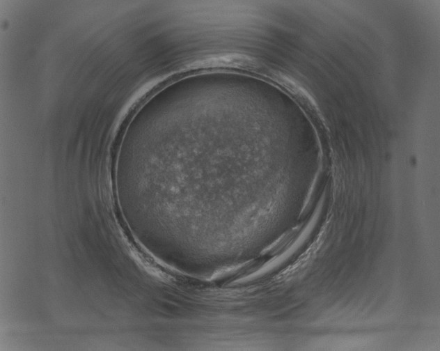 X0000074040792200608281443