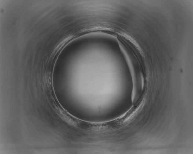 X0000074040793200608281443