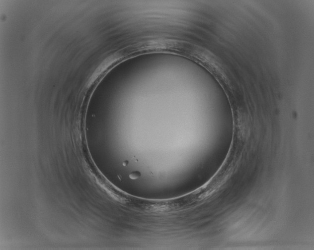 X0000074040794200608281443