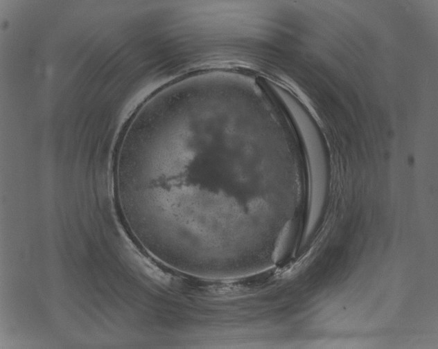 X0000074040795200608281443