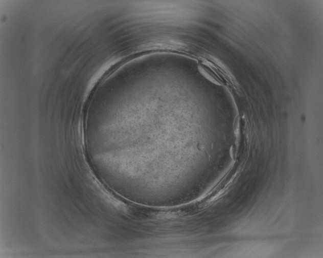 X0000074040796200608281443