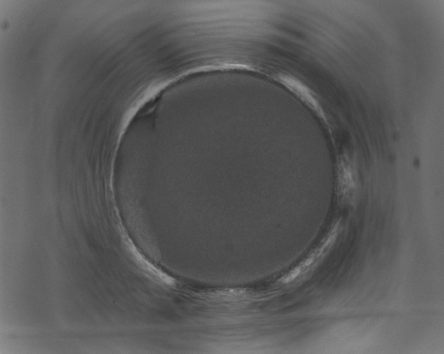 X0000074040797200608281443