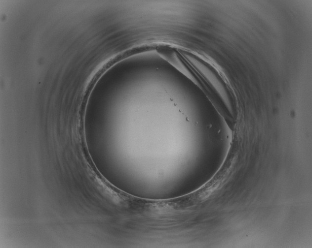 X0000074040799200608281443