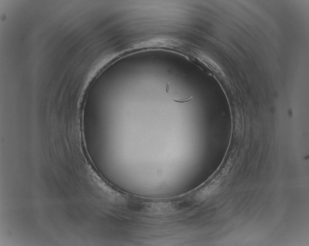 X0000074040800200608281443