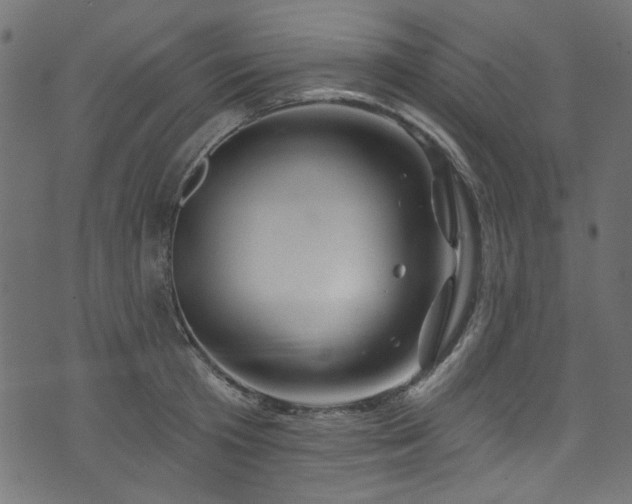 X0000074040801200608281443