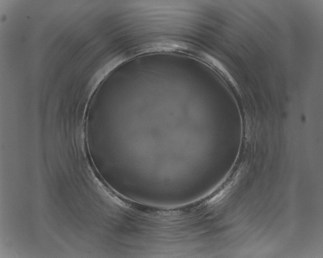 X0000074040802200608281443