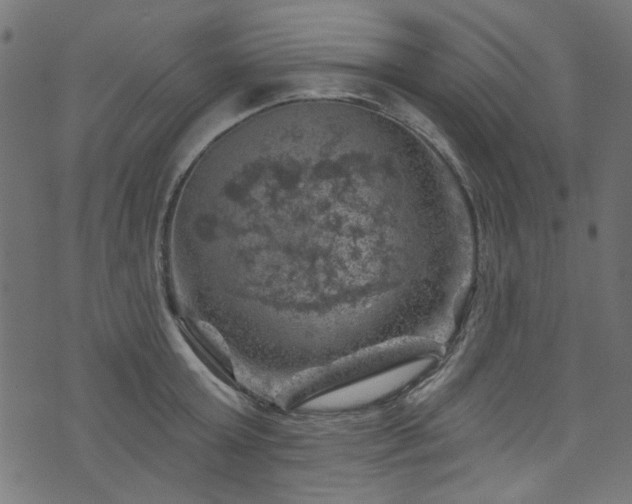 X0000074040803200608281443