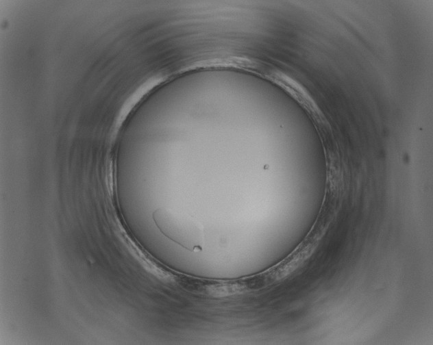 X0000074040804200608281443