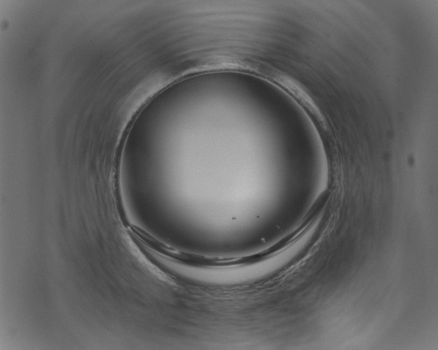 X0000074040805200608281443