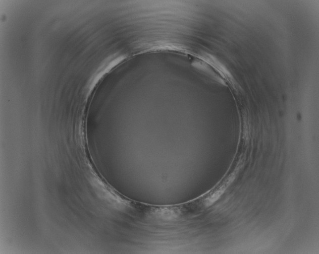 X0000074040806200608281443