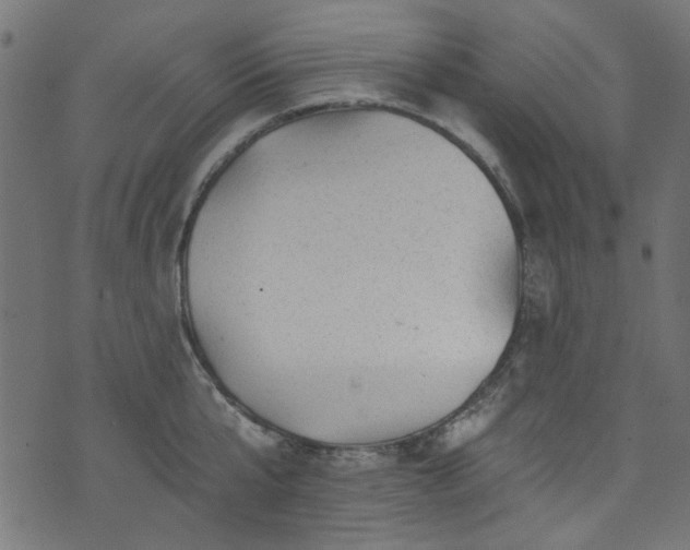 X0000074040807200608281443