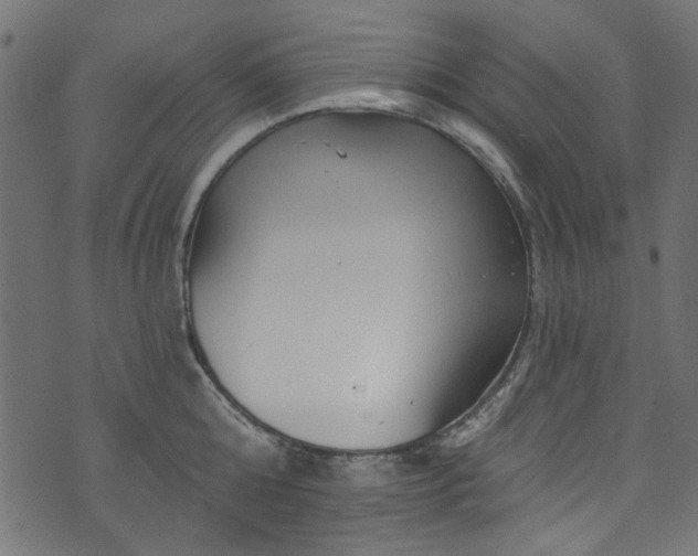 X0000074040808200608281443