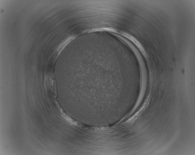 X0000074040809200608281443