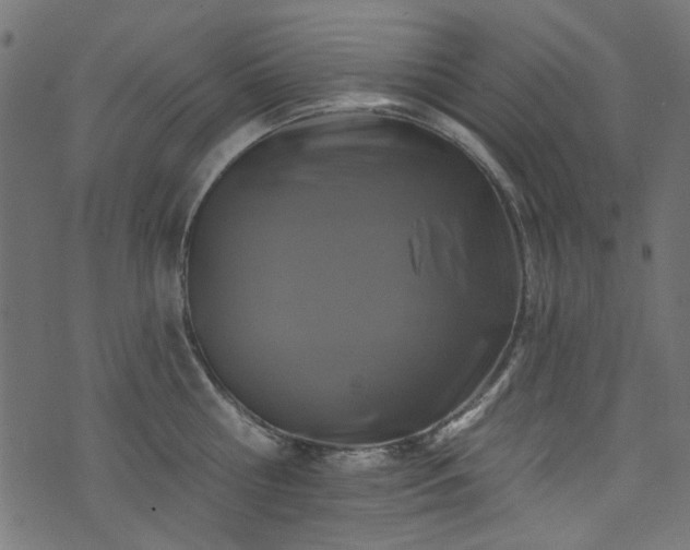 X0000074040810200608281443