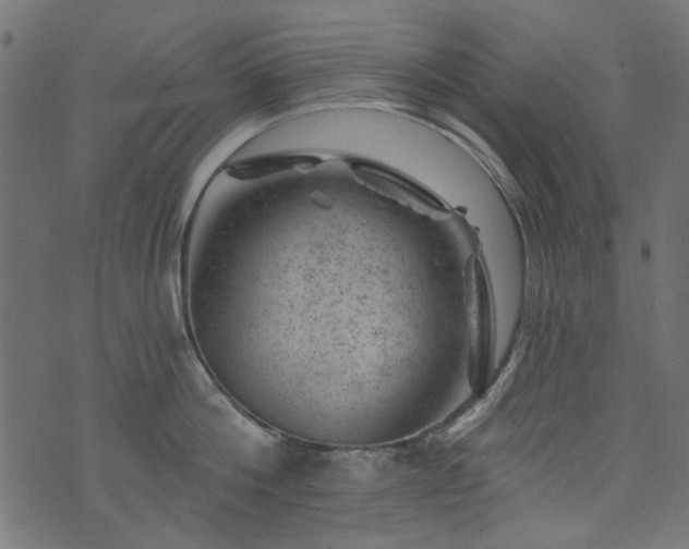 X0000074040812200608281443