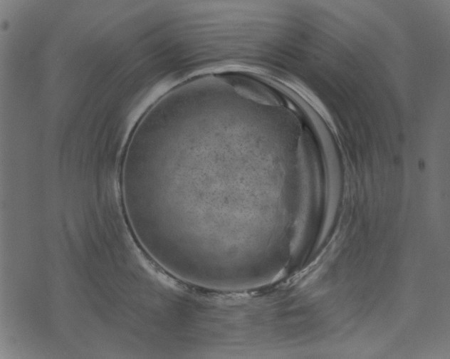 X0000074040813200608281443