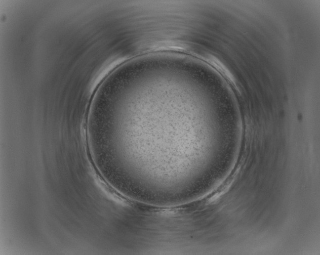 X0000074040814200608281443