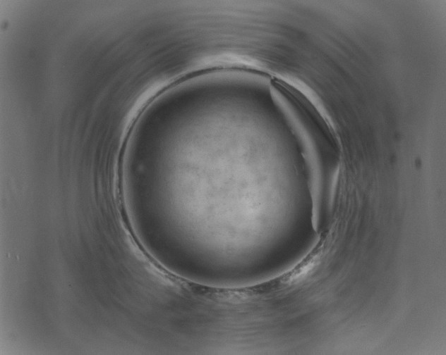 X0000074040815200608281443