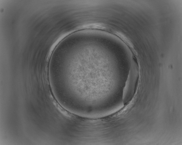 X0000074040816200608281443