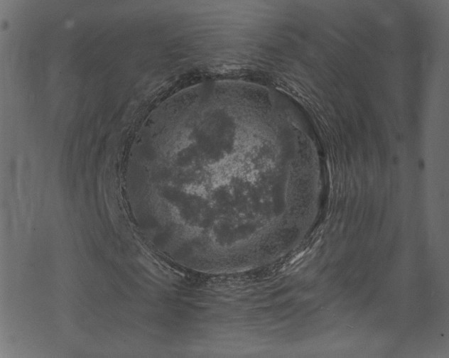 X0000074040817200608281442