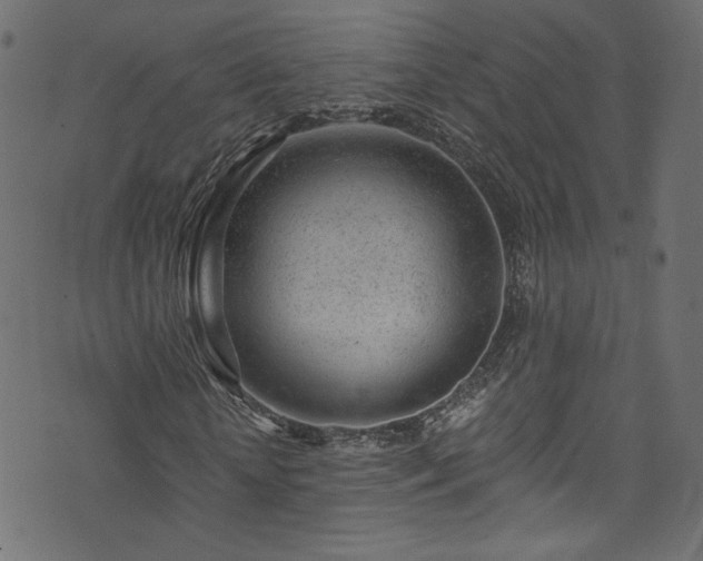 X0000074040818200608281442