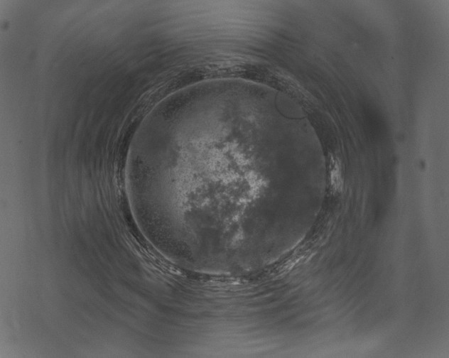 X0000074040819200608281442