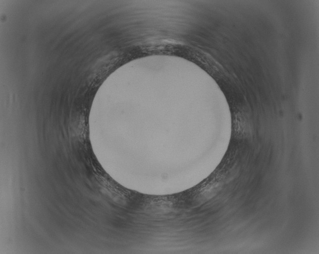 X0000074040820200608281442