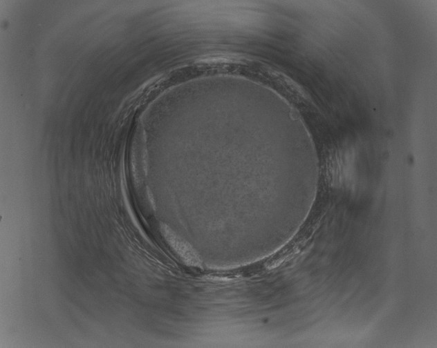 X0000074040821200608281442