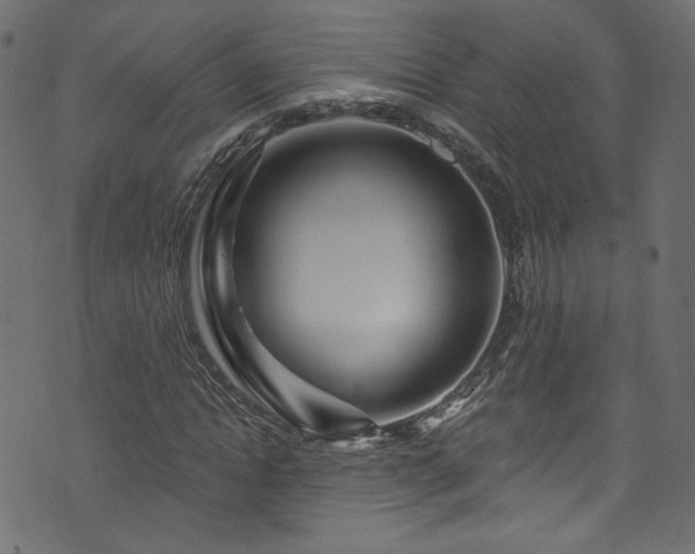 X0000074040822200608281442