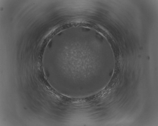 X0000074040823200608281442