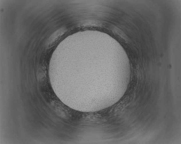 X0000074040824200608281442