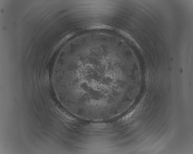 X0000074040825200608281442