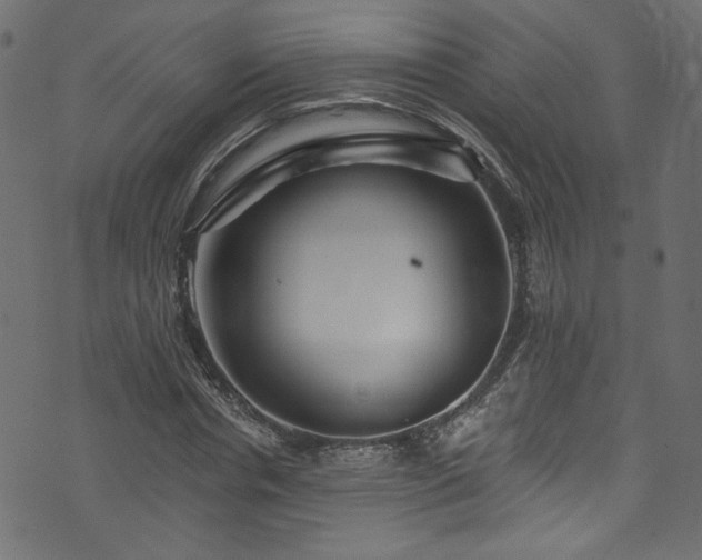 X0000074040826200608281442