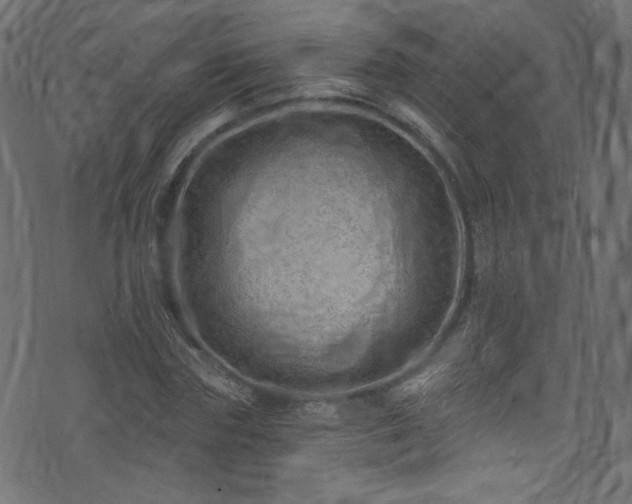 X0000074040827200608281442