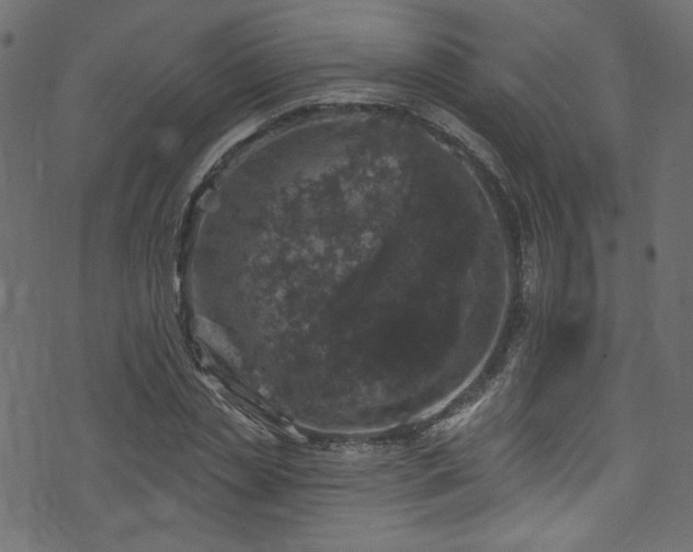 X0000074040829200608281442