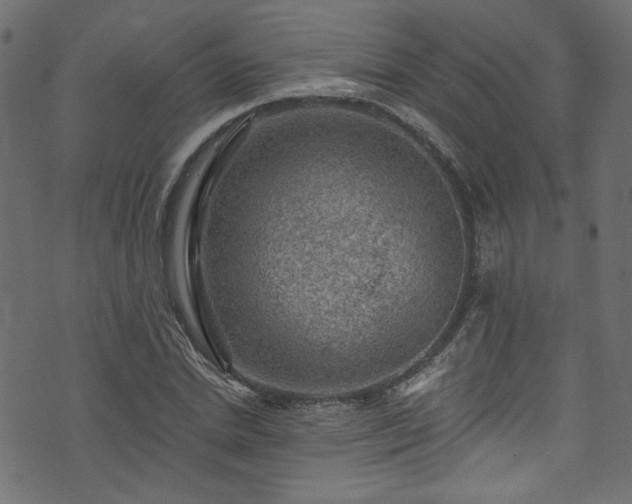 X0000074040830200608281442