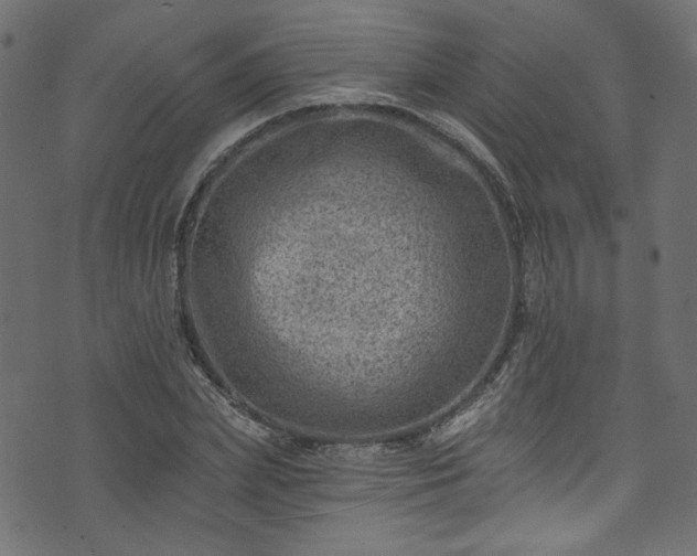 X0000074040831200608281442