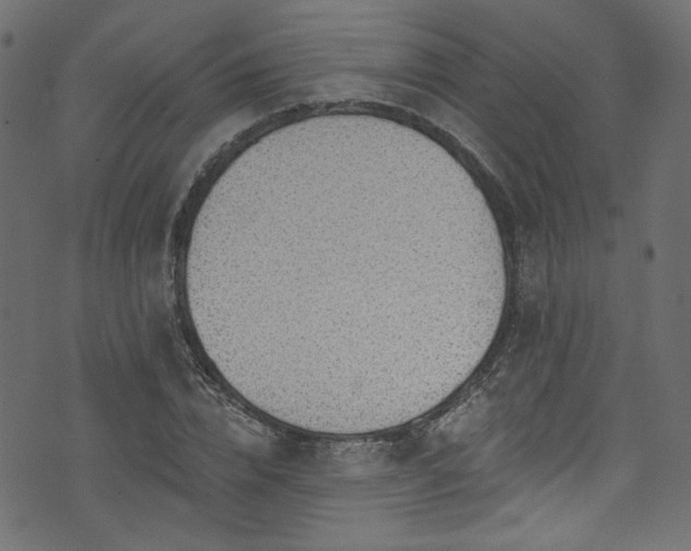 X0000074040832200608281442