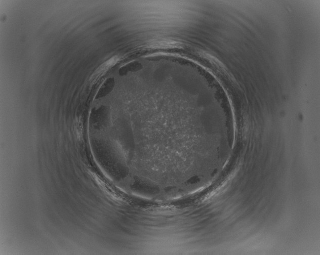 X0000074040833200608281442