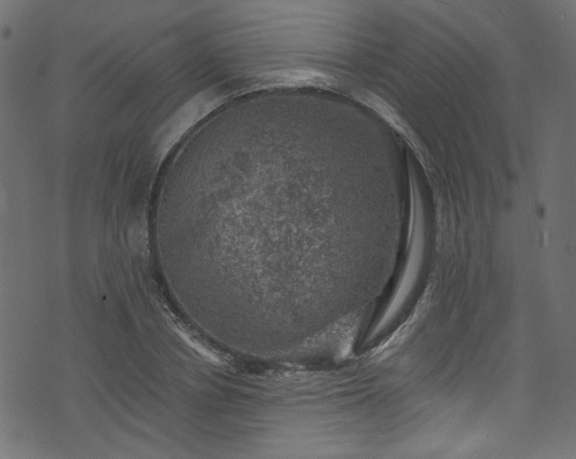 X0000074040834200608281442