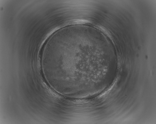 X0000074040835200608281442