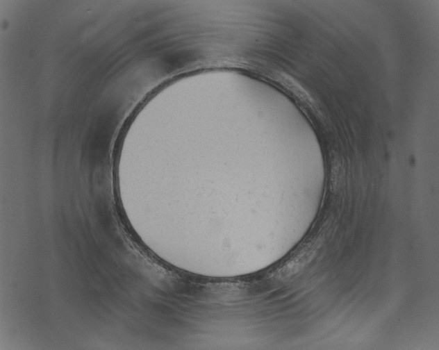 X0000074040836200608281442