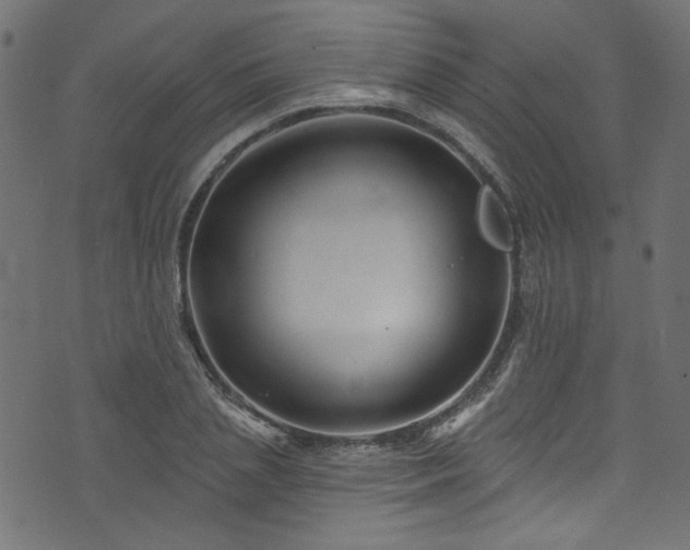 X0000074040837200608281442