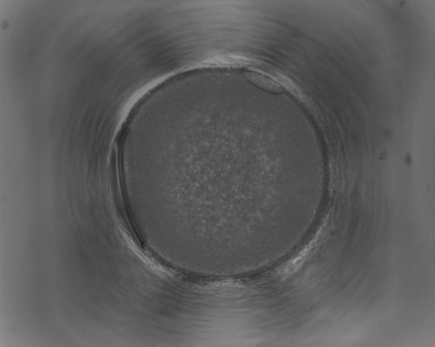 X0000074040838200608281442