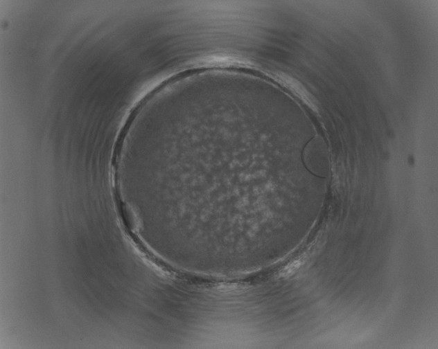 X0000074040839200608281442